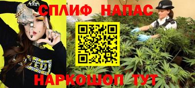 spice Коммунар